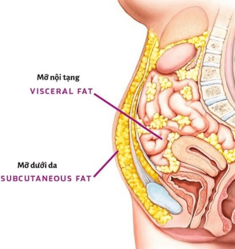 Cách mỡ bảo vệ chấn thương