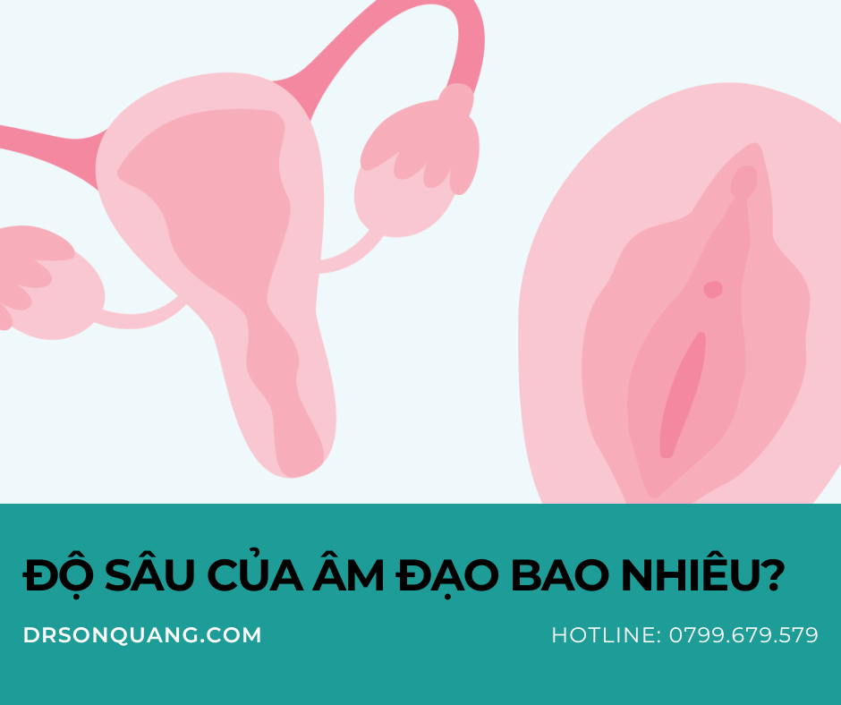 Độ sâu của âm đạo bao nhiêu?