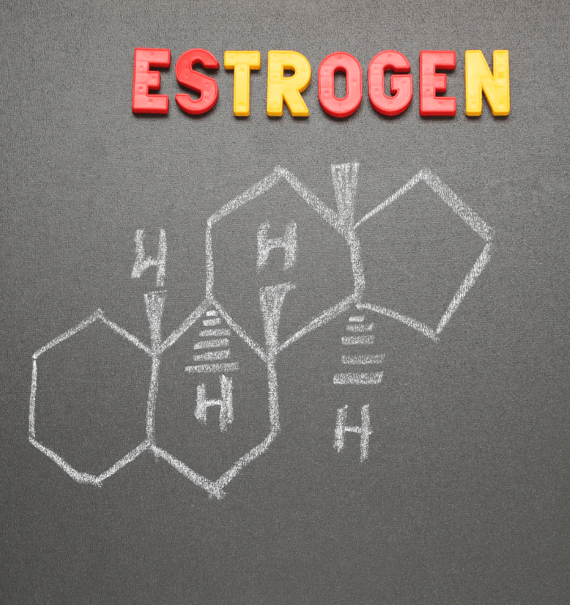 Estrogen ảnh hưởng đến dáng ngực