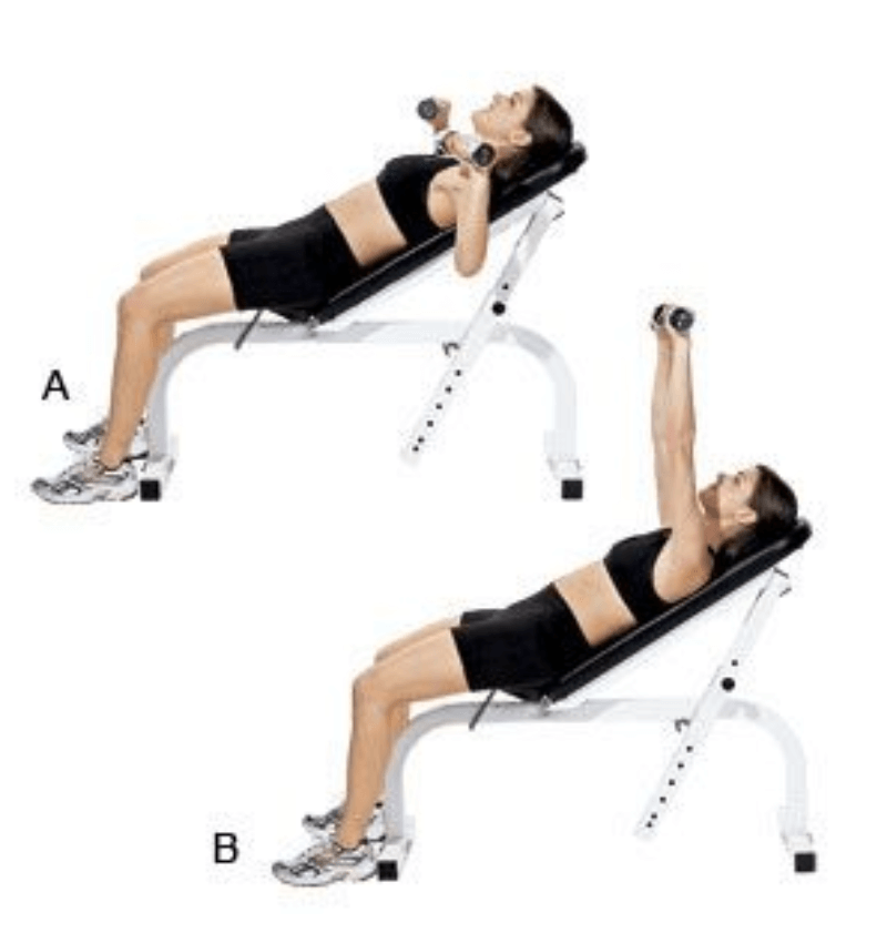 Đẩy ngực với tạ tay trên ghế nghiêng (Incline Dumbbell Chest Press)